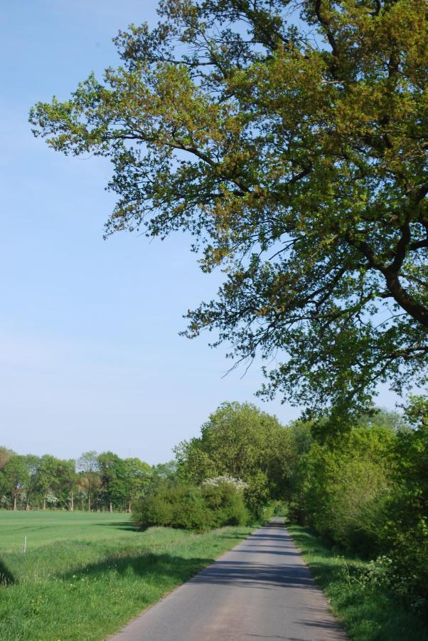 Ferienwohnung Im Gruenen - Hof Blohme Langwedel  Bagian luar foto