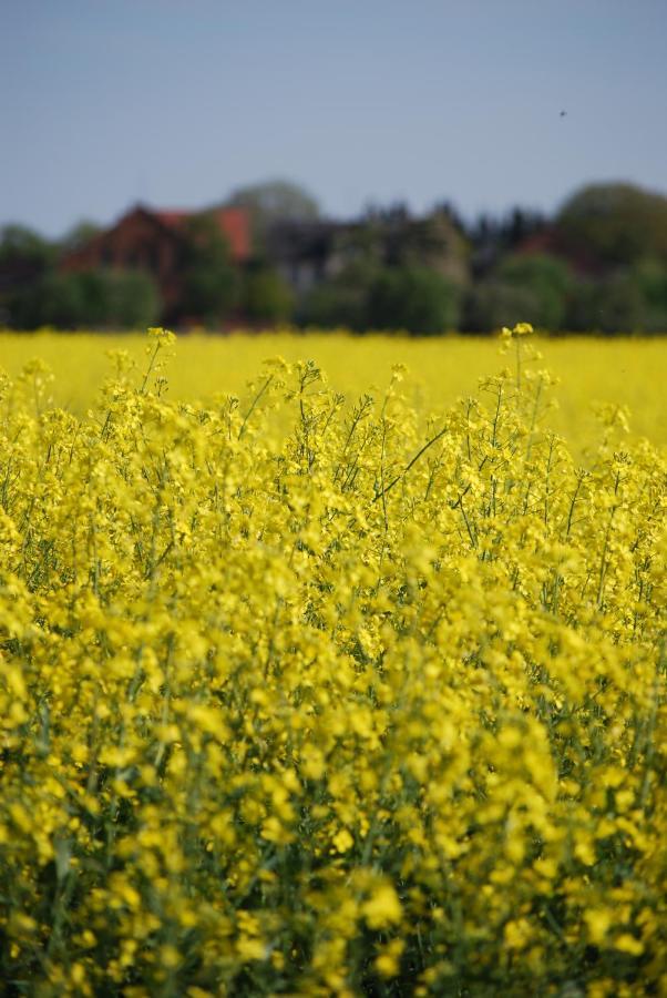 Ferienwohnung Im Gruenen - Hof Blohme Langwedel  Bagian luar foto